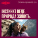 Carnilove Сухий корм для кішок Carnilove True Fresh Beef Sterilised 2 кг (8595602582174)