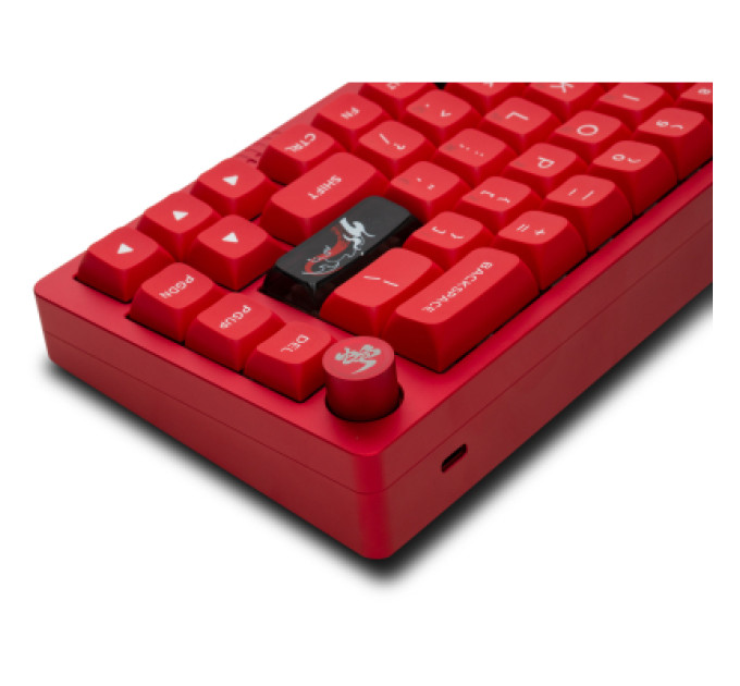 Thunderobot Клавіатура Thunderobot VIC68 Gateron Magnetic Jade Pro Switch Red USB UA (6932066317218)