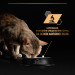 Purina Pro Plan Вологий корм для кішок Purina Pro Plan Adult Indoor Nutrisavour Для кішок, що живуть у приміщенні З лососем 85 г (8445290172990)