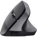 Trust Мишка Trust Bayo + Ergonomic Wireless/Bluetooth Black (25146)