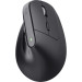 Trust Мишка Trust Bayo + Ergonomic Wireless/Bluetooth Black (25146)