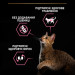Purina Pro Plan Сухий корм для кішок Purina Pro Plan Delicate Turkey зі смаком індички 1.5 кг (3222270884136)