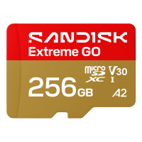 Карта пам'яті SanDisk 256GB microSDXC class 10 UHS-I Extreme GO (SDSQXGN-256G-GN6MN)