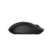 A4Tech Мишка A4Tech FG16S Wireless Black (4711421003803)