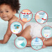 Pampers Підгузки Pampers Premium Care Pants Maxi Трусики Розмір 4 (9-15 кг) 114 шт. (8006540490938)