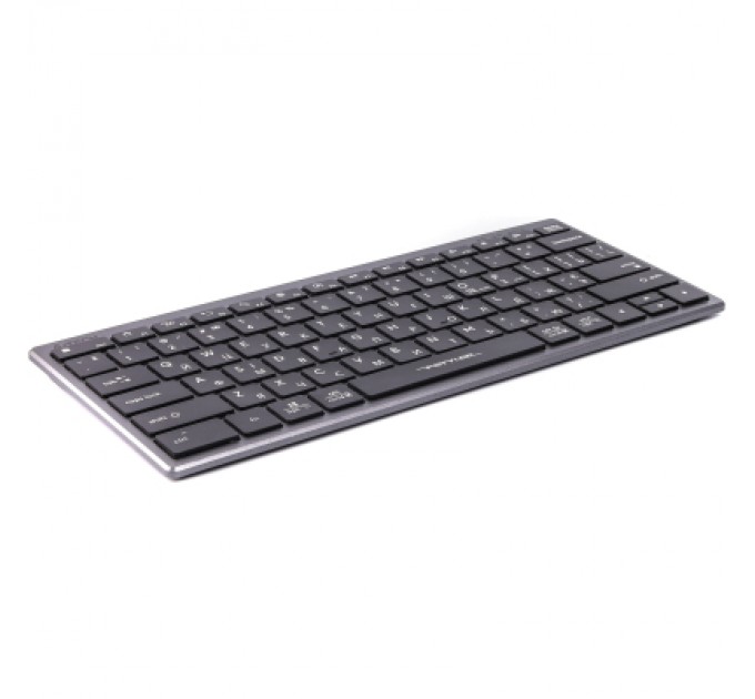 A4Tech Клавіатура A4Tech FX-51 USB Grey