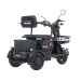 Maxxter Електроскутер Maxxter ANT (Black)