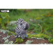 Eugy Пазл Eugy 3D Зоопарк Зебра (XEG-011)