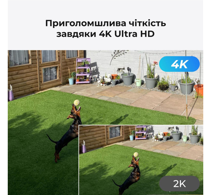 Reolink IP камера Reolink P330 2.8 mm (RLC-810A)