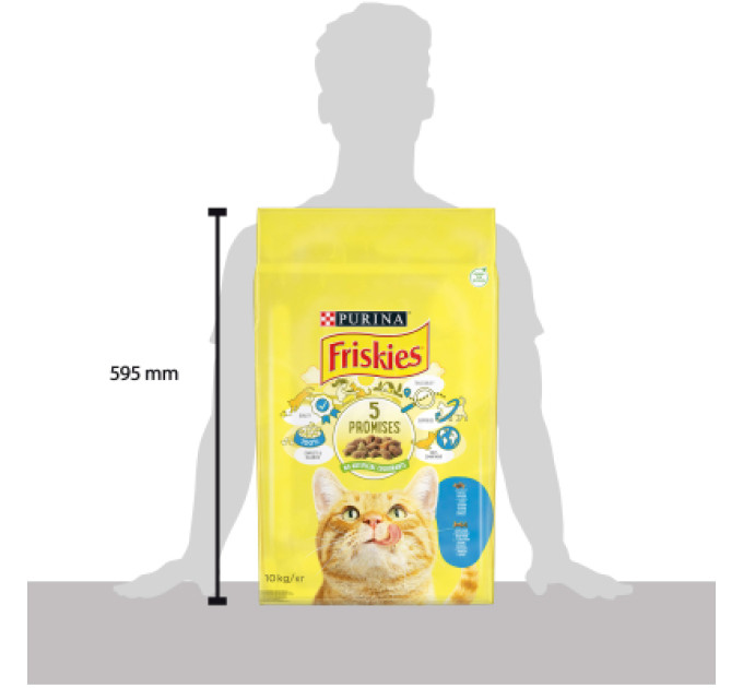 Сухий корм для кішок Purina Friskies зі смаком лосося й овочів 10 кг (5997204515469)