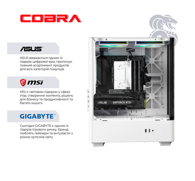 Персональний комп`ютер COBRA (A55.16.S5.35.23116)