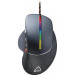 Canyon Мишка Canyon Apstar USB Black (CND-SGM12RGB)