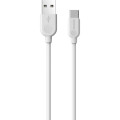 BOROFONE Дата кабель USB 2.0 AM to USB-C 1.0m 2.4A PVC BX14 white BOROFONE (6957531089995)