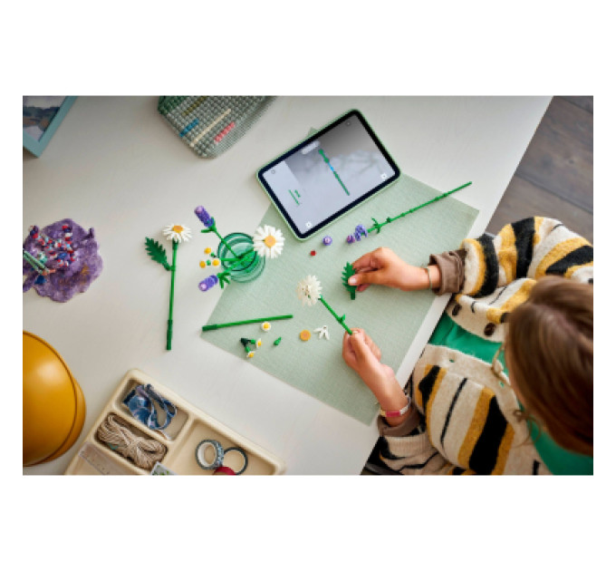 LEGO Конструктор LEGO Botanicals Ромашки (11508)