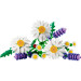 LEGO Конструктор LEGO Botanicals Ромашки (11508)