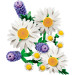 LEGO Конструктор LEGO Botanicals Ромашки (11508)
