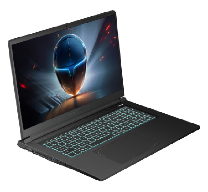 Thunderobot Ноутбук Thunderobot 911 X17 (911X17-i7136H57E1Q165MBD)