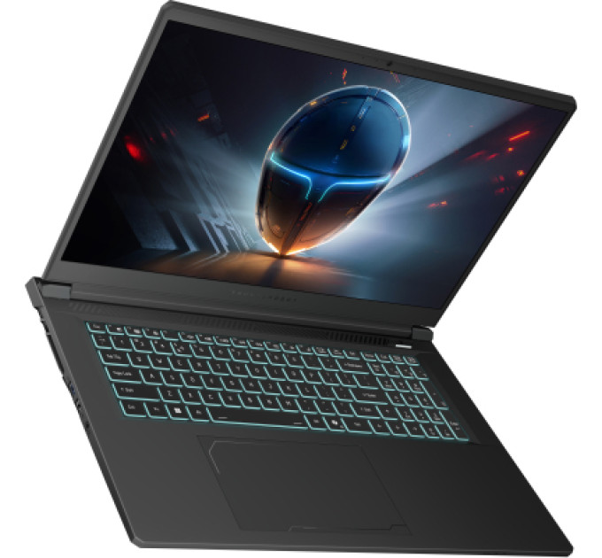 Thunderobot Ноутбук Thunderobot 911 X17 (911X17-i7136H57E1Q165MBD)
