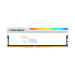 Prologix Модуль пам'яті для комп'ютера DDR5 16GB 5600 MHz Onyx White RGB Prologix (PRO16GB5600YWR5)