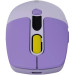 Canyon Мишка Canyon MW-26 LCD Silent Wireless/Bluetooth Violet (CNS-CMSW26V)
