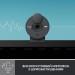 Logitech Веб-камера Logitech Brio 300 FHD Graphite (960-001436)