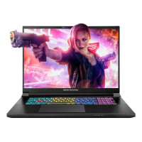 Ноутбук (портативний комп'ютер) CU9-290HX 18" 32GB/1TB RX5070TI-18UA31 DREAM MACHINES