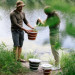 Tribe Відро складане Tribe Water Bucket 10 л olive (T-FJ-0048-olive)