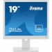 iiyama Монітор iiyama B1980D-W5