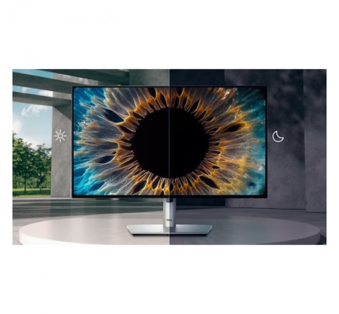 Dell Монітор Dell U2424H (210-BKTZ)