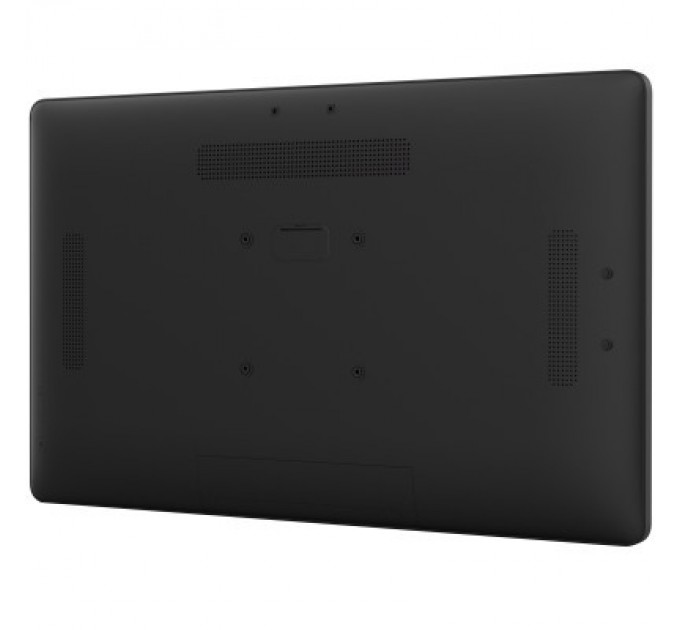 iiyama Монітор iiyama TW2424AS-B1