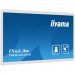 iiyama Монітор iiyama TW2424AS-W1