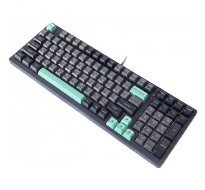 A4Tech Клавіатура A4Tech FS300 FS Switches USB Panda Rock Climbin (4711422003086)