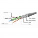 Cablexpert Патч-корд 3м FTP cat 6 Cablexpert (PP6-3M/B)