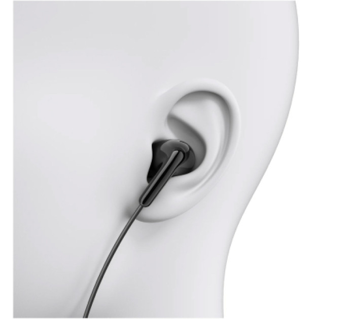 Xiaomi Навушники Xiaomi Type-C Earphones Black (1071791)