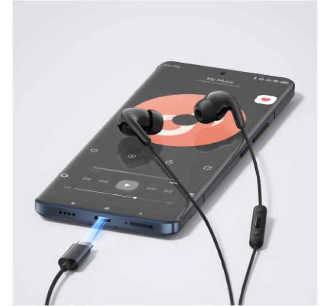 Xiaomi Навушники Xiaomi Type-C Earphones Black (1071791)
