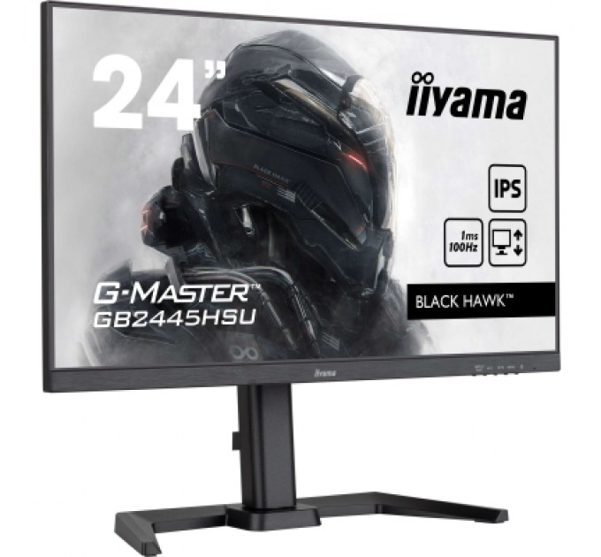 iiyama Монітор iiyama GB2445HSU-B2