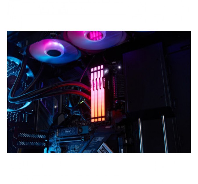 Kingston Fury (ex.HyperX) Модуль пам'яті для комп'ютера DDR5 64GB (2x32GB) 5600 MHz FURY Beast RGB Kingston Fury (ex.HyperX) (KF556C40BBAK2-64)