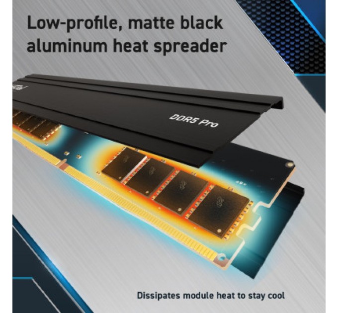 Micron Модуль пам'яті для комп'ютера DDR5 32GB (2x16GB) 5600 MHz Pro Micron (CP2K16G56C46U5)