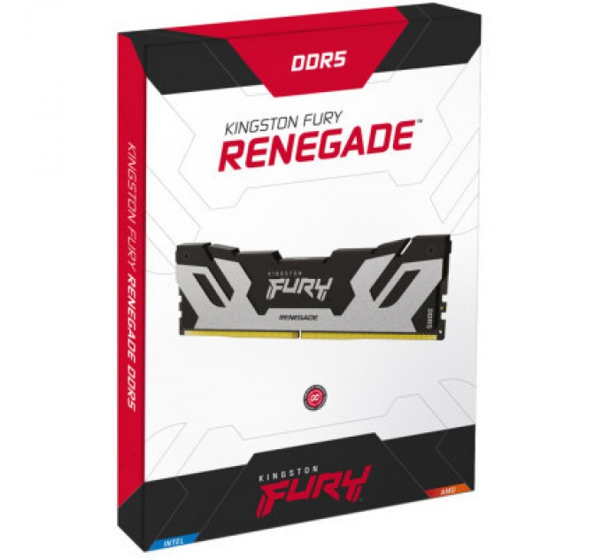 Kingston Fury (ex.HyperX) Модуль пам'яті для комп'ютера DDR5 24GB 6400 MHz Renegade Silver XMP Kingston Fury (ex.HyperX) (KF564C32RS-24)
