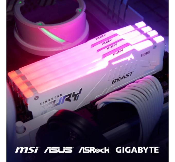 Kingston Fury (ex.HyperX) Модуль пам'яті для комп'ютера DDR5 32GB 6000 MHz Beast AM5 RGB White Kingston Fury (ex.HyperX) (KF560C36BWEA-32)