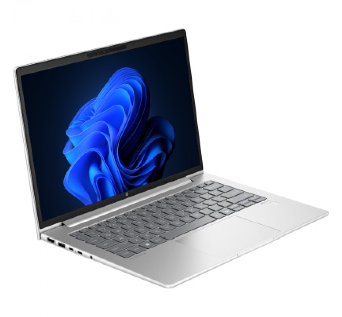 HP Ноутбук HP Probook 445 G11 (AD0T4ET)