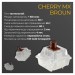 Ducky Клавіатура Ducky One 3 TKL Cherry MX Brown RGB UA USB White (DKON2187ST-BUAPXPWWWSC1)