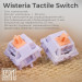 Epomaker Клавіатура Epomaker TH80 Pro V2 75 Wisteria Tactile Switch Hot-Swap LCD Screen RGB Wireless/Bluetooth/USB UA White (TH80-PROV2-W-WT)