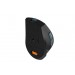 A4Tech Мышь беспроводная A4Tech Fstyler FB35CS Midnight Green