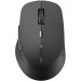 Rapoo Миша бездротова Rapoo M300 Silent Wireless Multi-Mode Grey