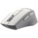 A4Tech Мышь беспроводная A4Tech FG30 Grey/White