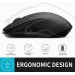 Rapoo Мышь беспроводная Rapoo 1620 Wireless Black