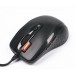 A4Tech Миша A4Tech N-70FX-1 Black V-Track