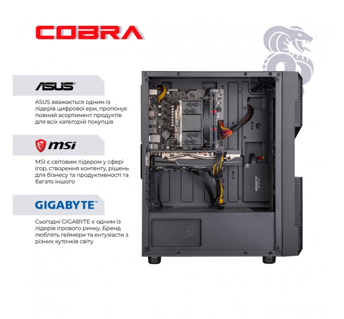 COBRA Персональний комп`ютер COBRA Advanced (A36X.16.S5.665XT.19703)