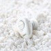 Remax Bluetooth-гарнитура Remax RB-T22 White (6954851288732)